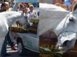 0F69BEE6-5EE1-4AF2-B827-E6304B0D8CDF