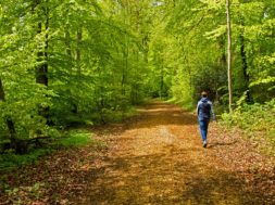 1D264727-A8BE-4EC0-91DB-A516D76EDEBC