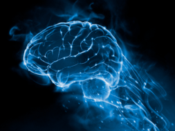 2426DBEC-26BA-47B3-9FDA-22C4AD6B3017