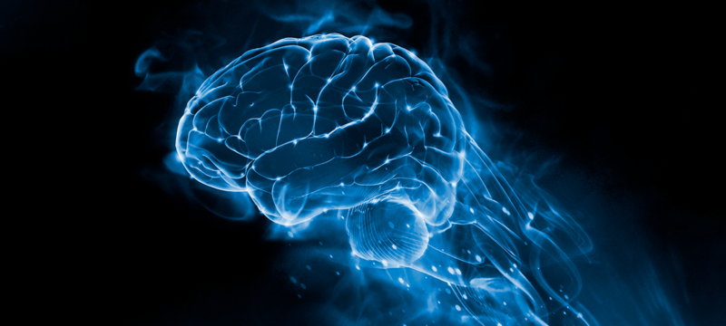 2426DBEC-26BA-47B3-9FDA-22C4AD6B3017