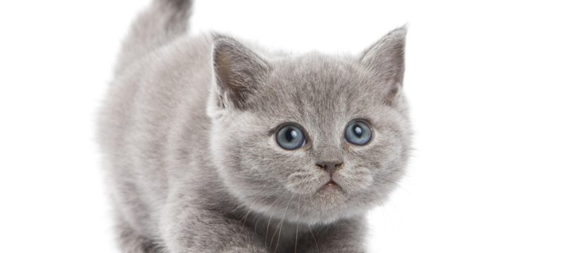 6158B3A8-D86D-41FB-9EF1-6C7C0B06834E