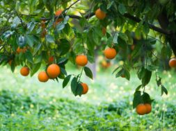 6C93509E-0C91-40D2-B9AF-70835040362D