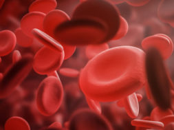 719555C3-08A7-463E-8706-3C393D389299