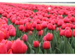 75D9E149-6B50-4394-895A-4A28A359A0F7