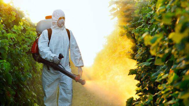 Εγκεφαλικό και καρδιοπάθειες λόγω φυτοφαρμάκων