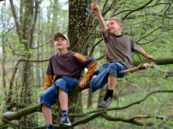 854F99E0-E876-45F9-B67C-F5C7EEB08807