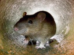 9B1FE313-84E7-486A-BA3A-691DF57AC148