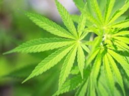 AABB27F5-D77B-4B4E-BD38-6639B7C264EF