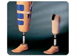 DBA359A7-CDAB-4232-A942-E06A08EFA030