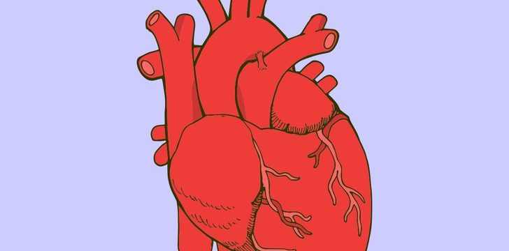 F4B628E1-92C6-43E2-AEE2-350942E75A53