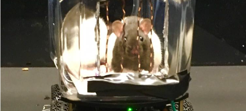 0FB8472B-4CC0-4575-9900-9DEA8F6EEAC8