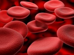 4868434E-D5A2-46AB-BA1C-5CAEF2619B1D