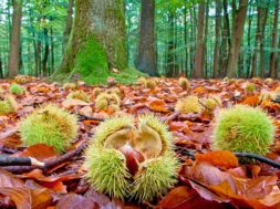 78361024-928F-4071-905B-EC9DC24FA527