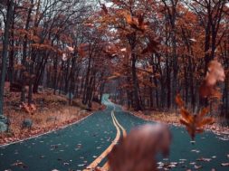 7BE5C253-A7BE-499C-8255-C05AC07756A6