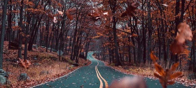 7BE5C253-A7BE-499C-8255-C05AC07756A6