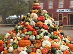 85AC066E-0DF2-4C6F-B513-65FB2604C1E4