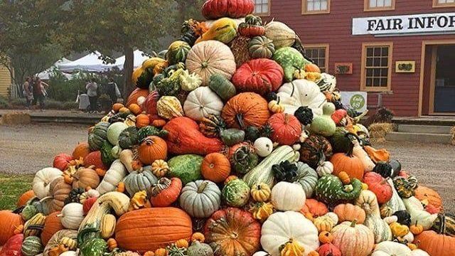 85AC066E-0DF2-4C6F-B513-65FB2604C1E4