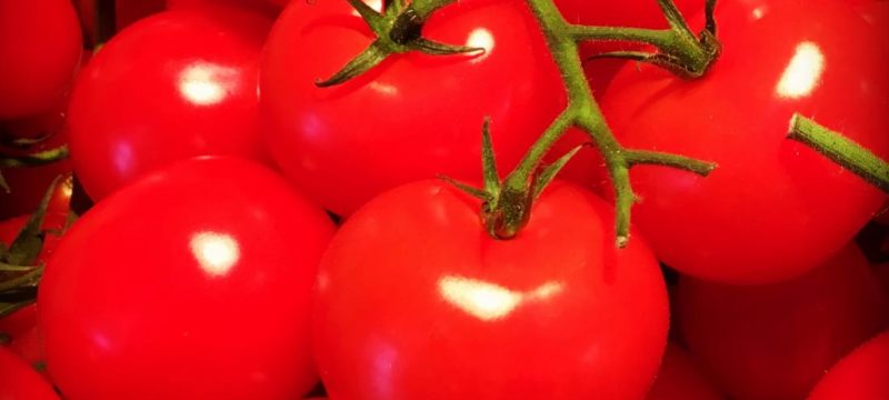 90E6E000-5EE0-4781-AF87-3825C85FE477