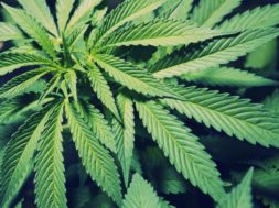 AC681BAB-A48B-44EB-BC62-9D279FFF8EC5