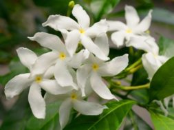 BF29BA85-9A16-4AE8-838E-B97AB2BBA543