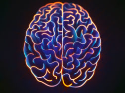 DADCD5BE-27DD-4FA8-8ABB-7501D1586D48