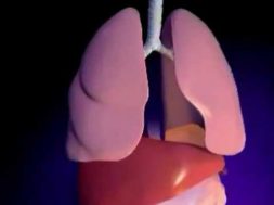 80CB7192-F6C4-4A8C-A93F-43BF37A37984