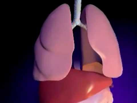 Εβδομάδα Κυστικής Ίνωσης