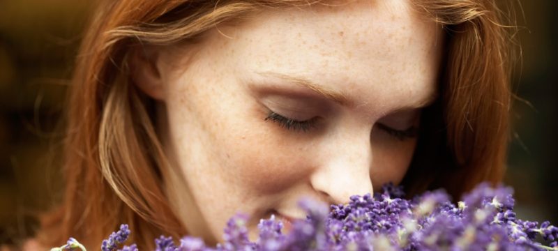 87FDB460-5424-45BB-8666-027979611059