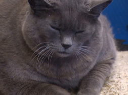 D837EACA-F517-4402-BC40-A72B633E0E96