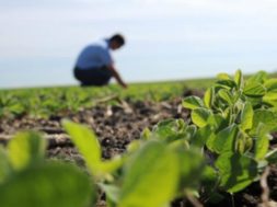 0525FDAA-BFF4-41FA-BE13-29C5BF906632