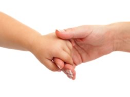 22642F7A-D86B-4F71-997F-E66BEC5C822B