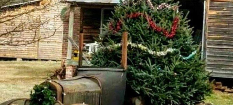 33D0C7B7-DBEF-42E0-89A0-163FF189589F