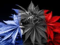 409FAFFE-F2CA-41F9-A3DC-80317D1F3442