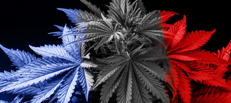 409FAFFE-F2CA-41F9-A3DC-80317D1F3442