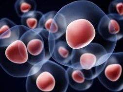 62C64CD5-C6F9-4B94-9F65-03CCD9F70E44