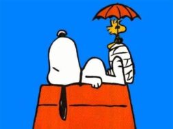 78C559FC-4102-4FFD-BD95-17F7AEED9006