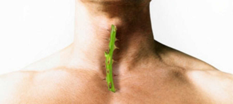 CFC7E9B0-C002-476B-BE17-517D6BBD6226