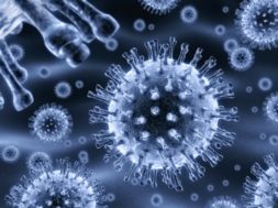 066C20C7-BCD1-4DFA-8551-DAB392C544E9