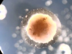 0F8BC946-066D-4204-A442-028333AB0351