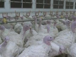 27996164-C2F7-4061-8C9B-528B133D1C00