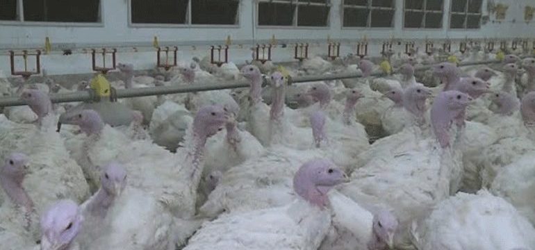 27996164-C2F7-4061-8C9B-528B133D1C00