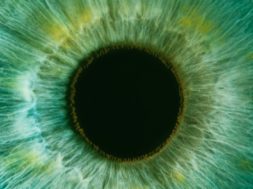 284067DB-D66C-4106-A692-D9B3EBC9AC4C