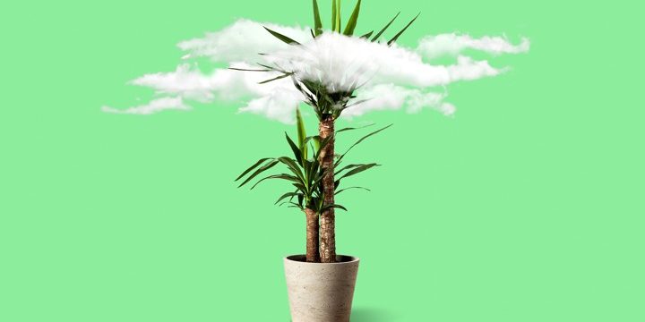 37CAD810-1190-43E4-A51E-26EE8AFB8E7A