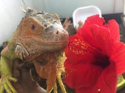 7537F11C-C889-416F-A0CD-0E3B6270FC24