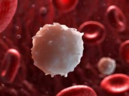 849F5E66-04C7-469F-AB1D-2B61141853AA