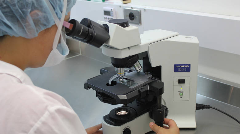 Διημερίδα «Σπάνιες Πλασματοκυτταρικές Δυσκρασίες»