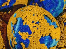 575C5BBC-A567-4D53-B080-FA9F71674DD4