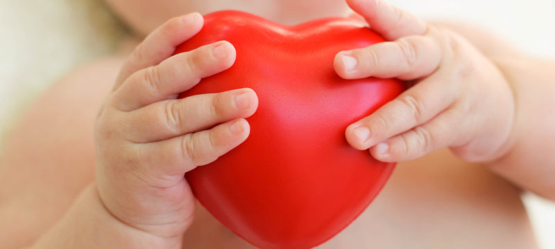 6B609054-2E46-4ACF-8C0A-C6D8E7D2E5B2