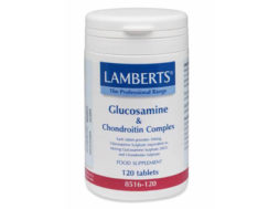 Glucosamine and chondroitin complex 120 tabs