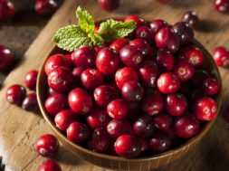 cranberry-seed-oil-header